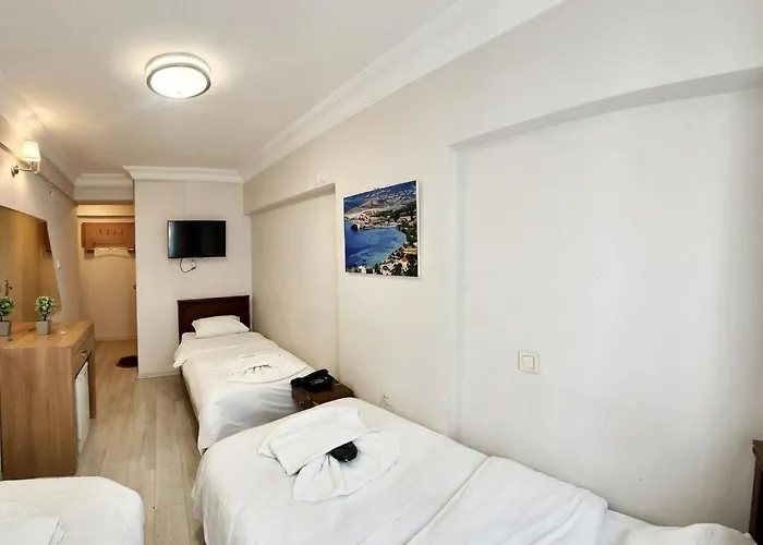 Ξενοδοχείο Efendi *